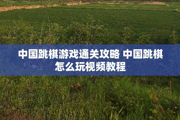 中国跳棋游戏通关攻略 中国跳棋怎么玩视频教程
