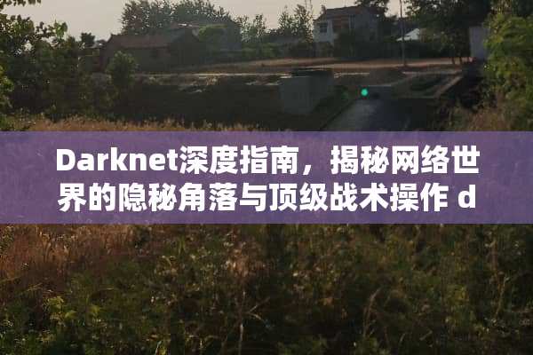 Darknet深度指南，揭秘网络世界的隐秘角落与顶级战术操作 darknet游戏攻略