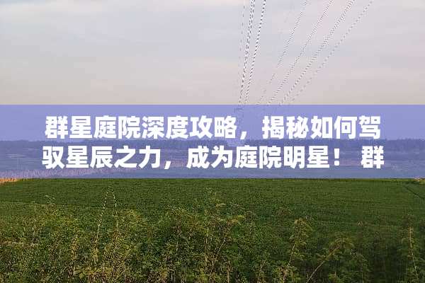 群星庭院深度攻略，揭秘如何驾驭星辰之力，成为庭院明星！ 群星庭院攻略