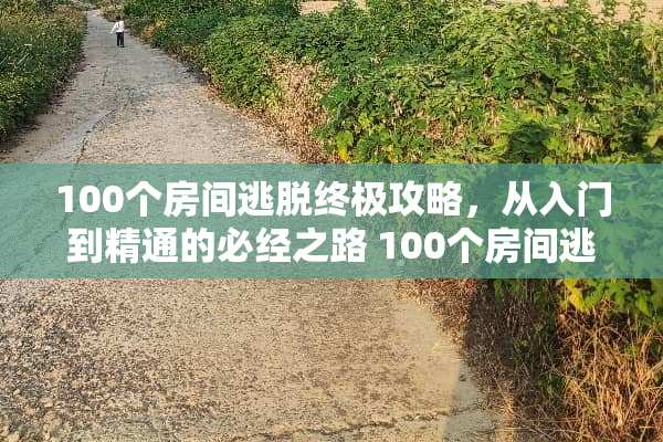 100个房间逃脱终极攻略，从入门到精通的必经之路 100个房间逃脱攻略