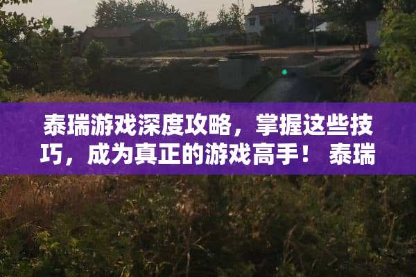 泰瑞游戏深度攻略，掌握这些技巧，成为真正的游戏高手！ 泰瑞游戏攻略