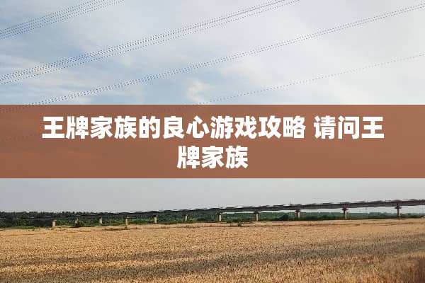 王牌家族的良心游戏攻略 请问王牌家族