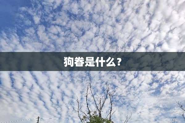 狗眷是什么？