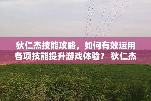 狄仁杰技能攻略，如何有效运用各项技能提升游戏体验？ 狄仁杰怎么用技能