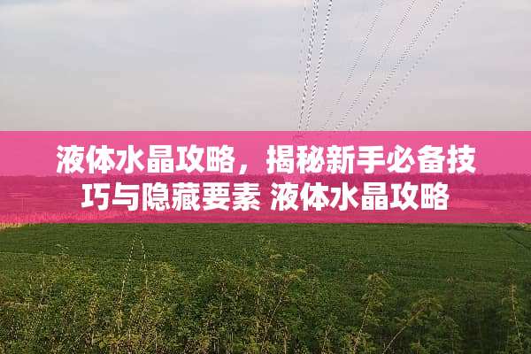 液体水晶攻略，揭秘新手必备技巧与隐藏要素 液体水晶攻略