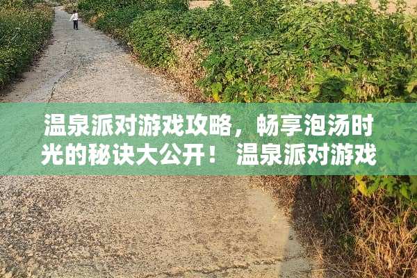 温泉派对游戏攻略，畅享泡汤时光的秘诀大公开！ 温泉派对游戏攻略