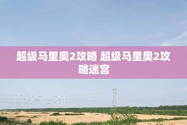超级马里奥2攻略 超级马里奥2攻略迷宫