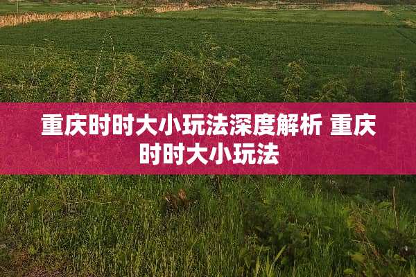 重庆时时大小玩法深度解析 重庆时时大小玩法