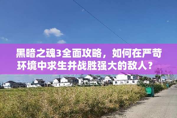 黑暗之魂3全面攻略，如何在严苛环境中求生并战胜强大的敌人？ dfx2游戏攻略
