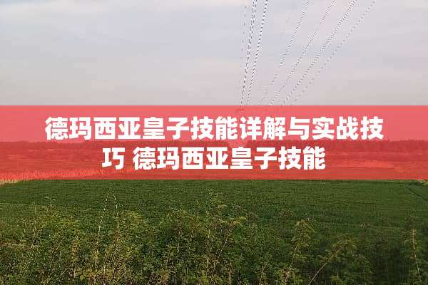德玛西亚皇子技能详解与实战技巧 德玛西亚皇子技能