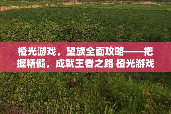 橙光游戏，望族全面攻略——把握精髓，成就王者之路 橙光游戏望族攻略