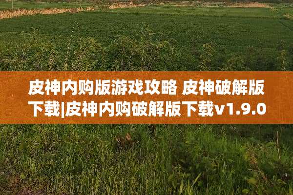 皮神内购版游戏攻略 皮神**版下载|皮神内购**版下载v1.9.0安卓版