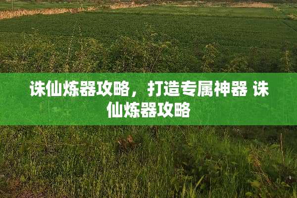 诛仙炼器攻略，打造专属神器 诛仙炼器攻略