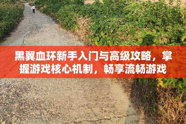 黑翼血环新手入门与高级攻略，掌握游戏核心机制，畅享流畅游戏体验 黑翼血环攻略