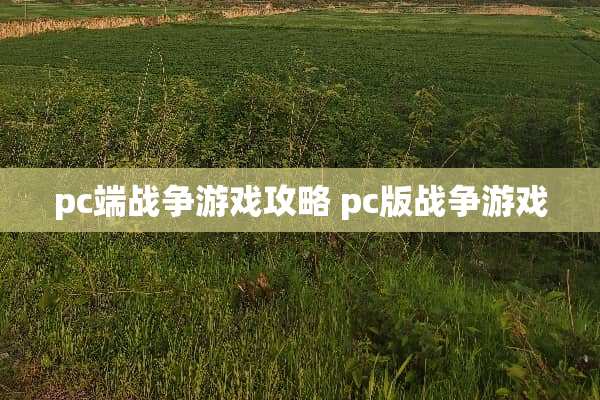 pc端战争游戏攻略 pc版战争游戏