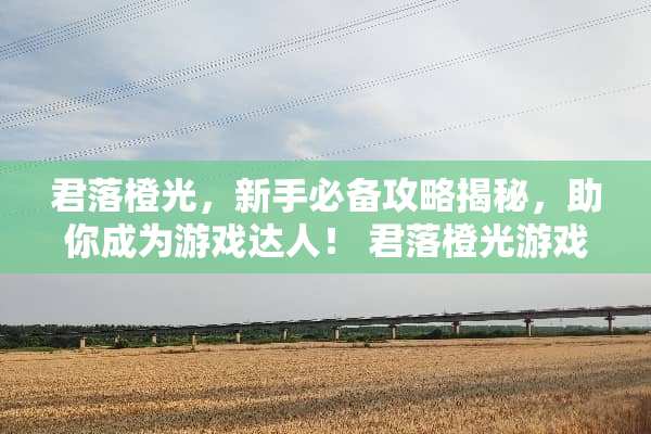 君落橙光，新手必备攻略揭秘，助你成为游戏达人！ 君落橙光游戏攻略