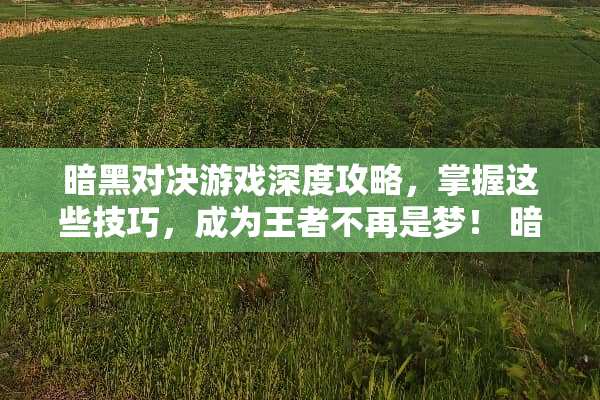 暗黑对决游戏深度攻略，掌握这些技巧，成为王者不再是梦！ 暗黑对决游戏攻略