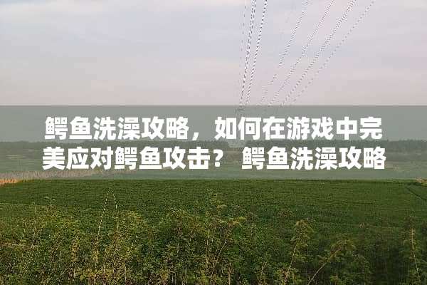 鳄鱼洗澡攻略，如何在游戏中完美应对鳄鱼攻击？ 鳄鱼洗澡攻略