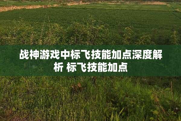 战神游戏中标飞技能加点深度解析 标飞技能加点