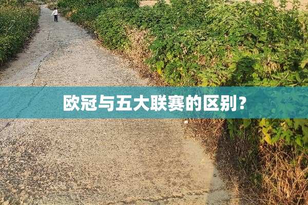 欧冠与五大联赛的区别？
