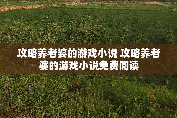 攻略养老婆的游戏小说 攻略养老婆的游戏小说免费阅读