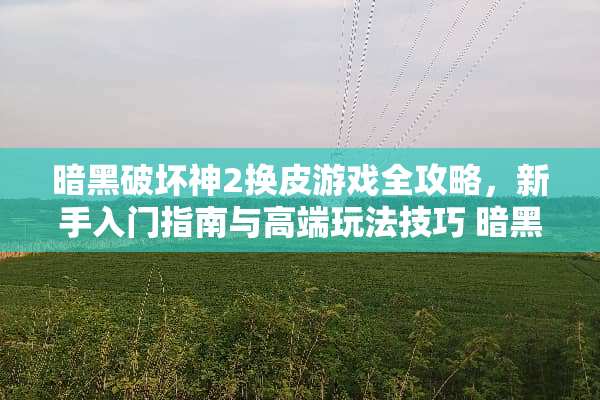 暗黑破坏神2换皮游戏全攻略，新手入门指南与高端玩法技巧 暗黑2换皮游戏攻略