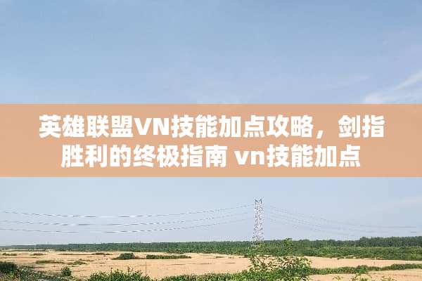 英雄联盟VN技能加点攻略，剑指胜利的终极指南 vn技能加点