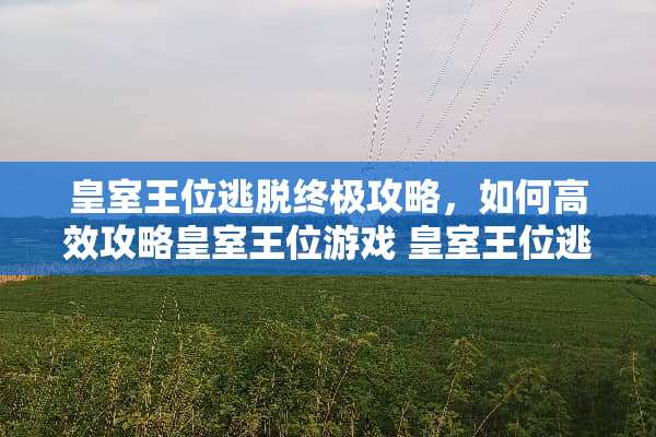 皇室王位逃脱终极攻略，如何高效攻略皇室王位游戏 皇室王位逃脱游戏攻略