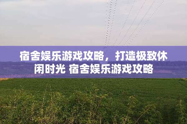 宿舍娱乐游戏攻略，打造极致休闲时光 宿舍娱乐游戏攻略