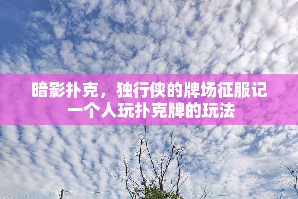 暗影**，独行侠的牌场征服记 一个人玩**牌的玩法
