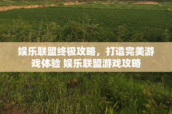 娱乐联盟终极攻略，打造完美游戏体验 娱乐联盟游戏攻略