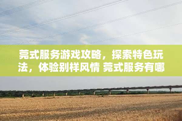 莞式服务游戏攻略，探索特色玩法，体验别样风情 莞式服务有哪些玩法