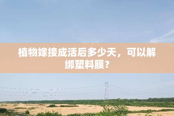 植物嫁接成活后多少天，可以解绑塑料膜？