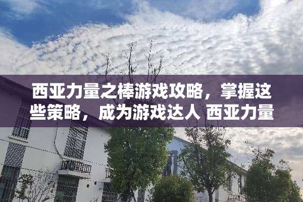 西亚力量之棒游戏攻略，掌握这些策略，成为游戏达人 西亚力量之棒游戏攻略