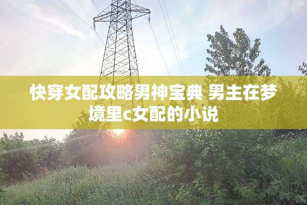 快穿女配攻略男神宝典 男主在梦境里c女配的小说