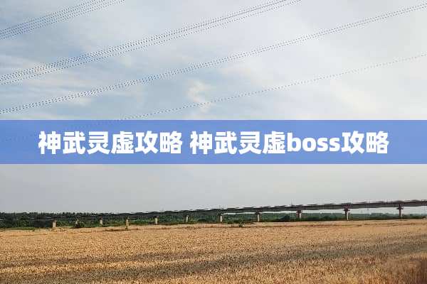神武灵虚攻略 神武灵虚boss攻略