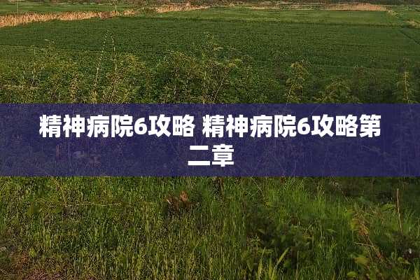 精神病院6攻略 精神病院6攻略第二章