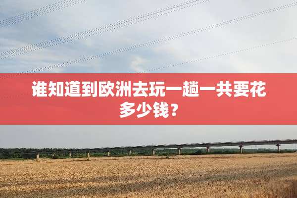谁知道到欧洲去玩一趟一共要花多少钱？