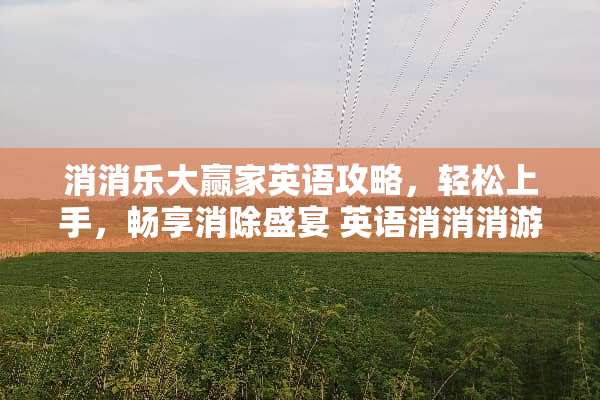 消消乐大**英语攻略，轻松上手，畅享消除盛宴 英语消消消游戏攻略
