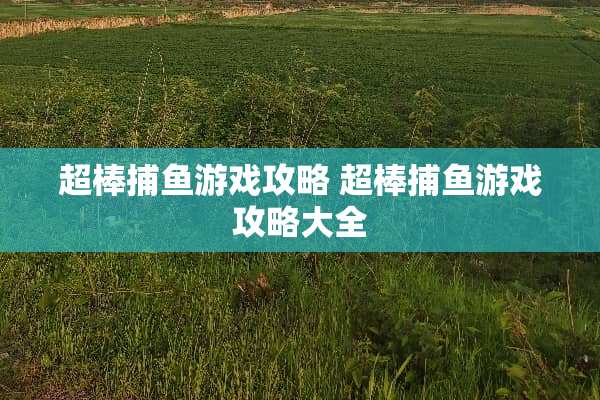 超棒捕鱼游戏攻略 超棒捕鱼游戏攻略大全