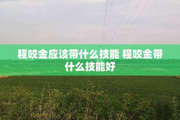 程咬金应该带什么技能 程咬金带什么技能好