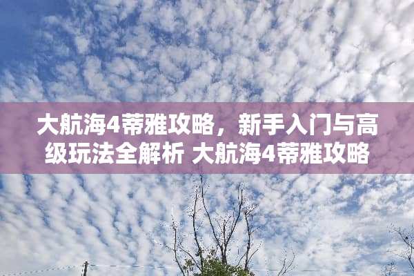大航海4蒂雅攻略，新手入门与高级玩法全解析 大航海4蒂雅攻略