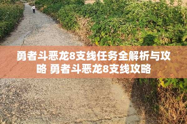 勇者斗恶龙8支线任务全解析与攻略 勇者斗恶龙8支线攻略