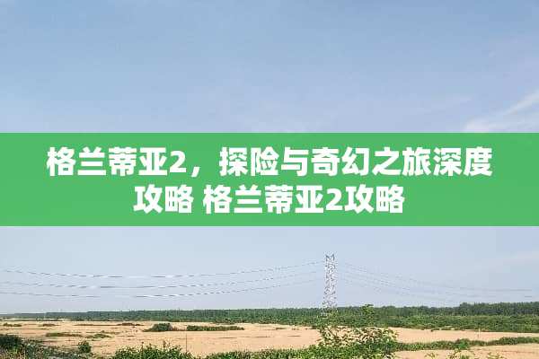 格兰蒂亚2，探险与奇幻之旅深度攻略 格兰蒂亚2攻略