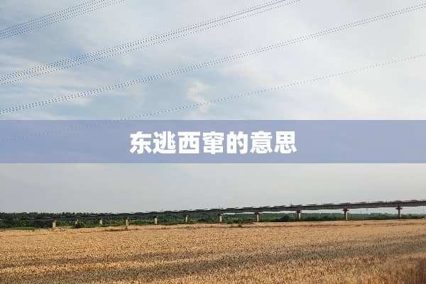 东逃西窜的意思