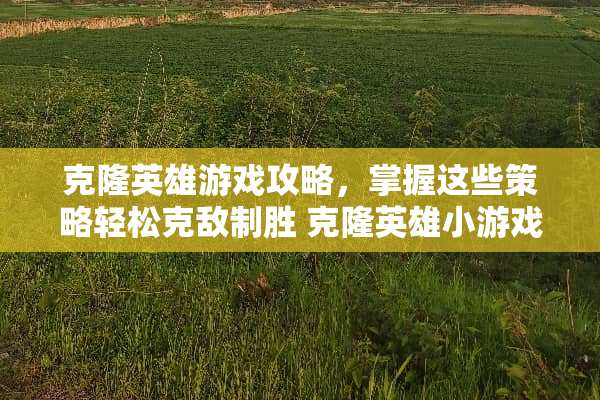 **英雄游戏攻略，掌握这些策略轻松克敌制胜 **英雄小游戏攻略