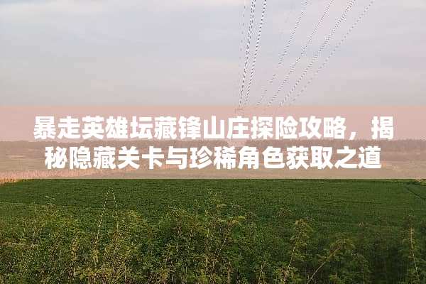 暴走英雄坛藏锋山庄探险攻略，揭秘隐藏关卡与珍稀角色获取之道 暴走英雄坛藏锋山庄攻略