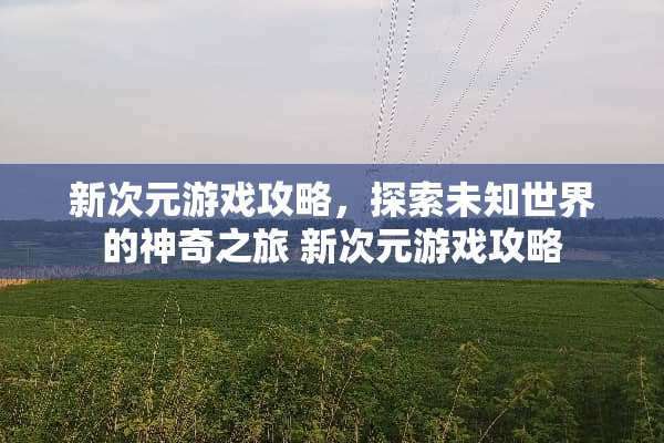 新次元游戏攻略，探索未知世界的神奇之旅 新次元游戏攻略