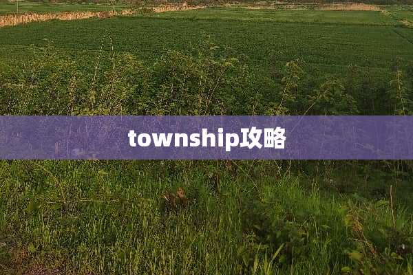 township攻略