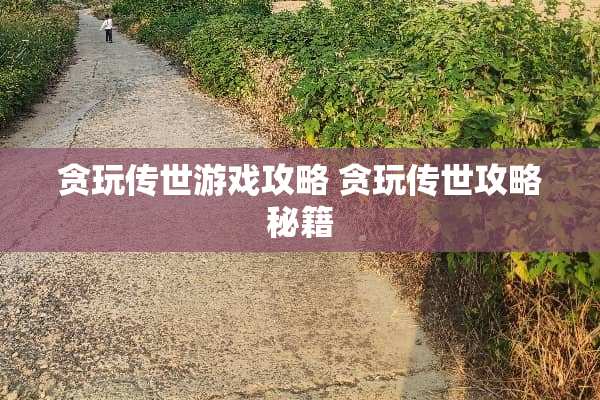 贪玩传世游戏攻略 贪玩传世攻略秘籍